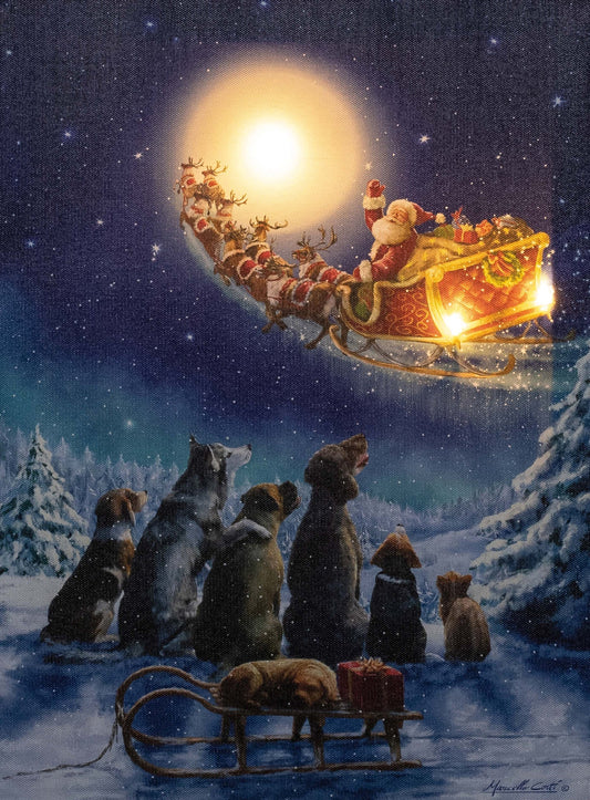 Julenissen og reinsdyr - bilde med ledlys